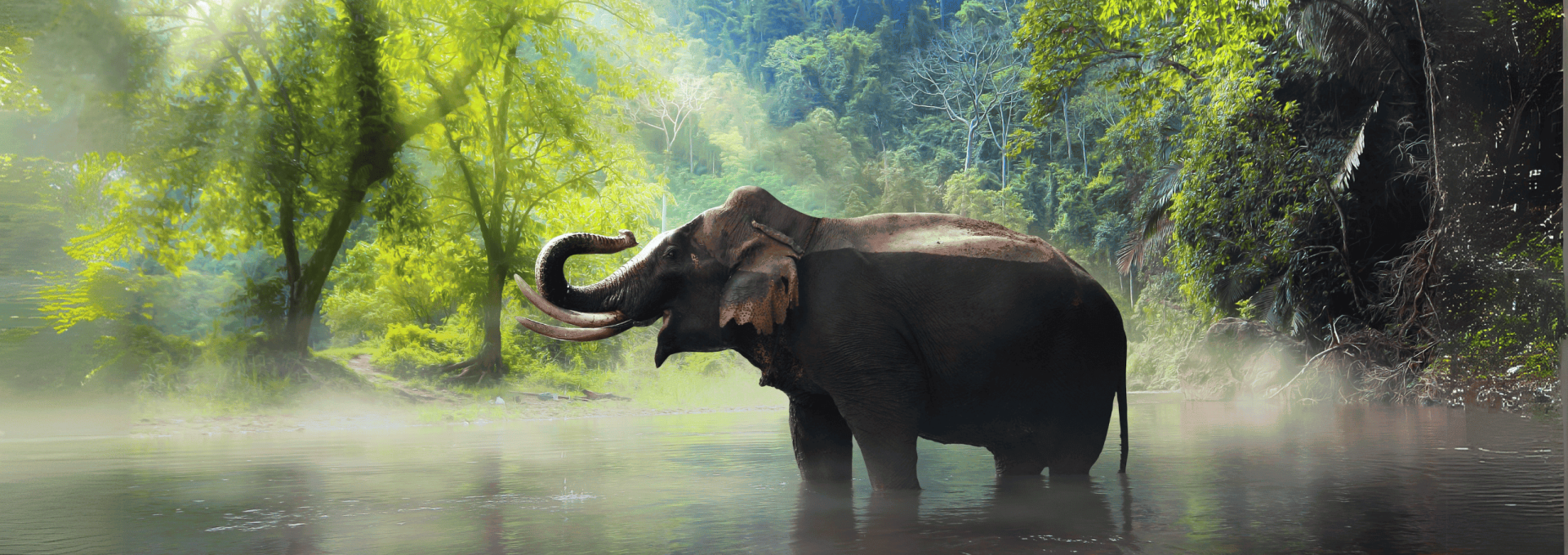 Yok Don National Park elephant experience and scenic landscapes