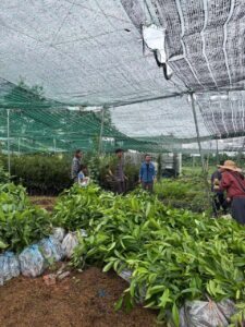 Eco-Farming Project in Dak Lak