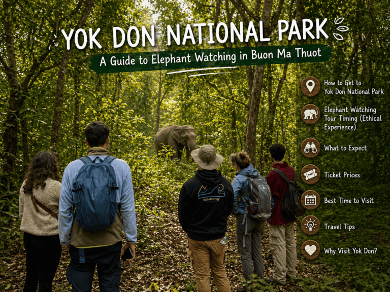 Yok Don National Park | Elephant