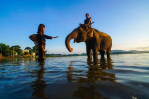 UNESCO Gong Heritage & Traditional Ede Cuisine Lak Lake, Dak Lak