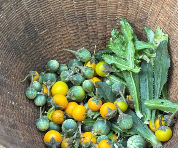 UNESCO Gong Heritage & Traditional Ede Cuisine UNESCO Gong Heritage & Traditional Ede Cuisine