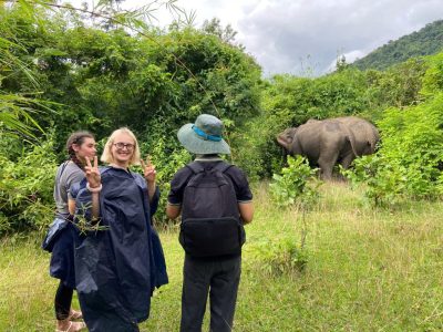 Ethical Elephant Experience in Lak