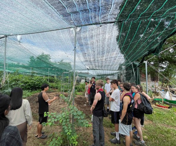 UNESCO Gong Heritage & Traditional Ede Cuisine Tourists joining Lak Lake Eco Workshop with tree planting, bamboo crafts, and traditional M’nong pottery