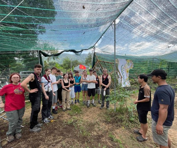 Tourists joining Lak Lake Eco Workshop with tree planting, bamboo crafts, and traditional M’nong pottery