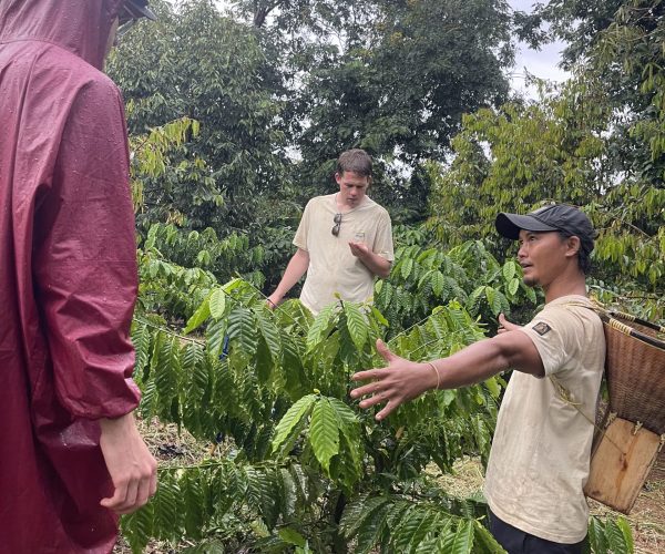 UNESCO Gong Heritage & Traditional Ede Cuisine Half Day Coffee Experience From Farmer