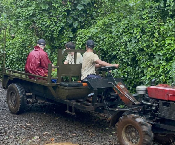 UNESCO Gong Heritage & Traditional Ede Cuisine Half Day Coffee Experience From Farmer