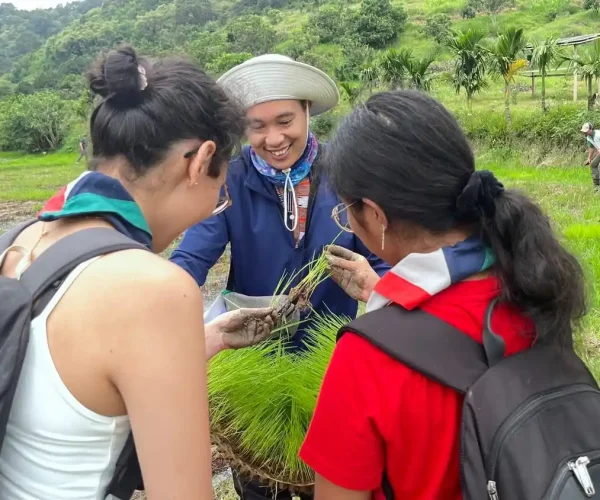 UNESCO Gong Heritage & Traditional Ede Cuisine Student Trip, Travel and Volunteer Program Ecology Experience