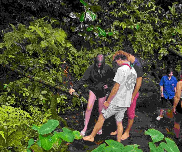 UNESCO Gong Heritage & Traditional Ede Cuisine Student Trip, Travel and Volunteer Program Ecology Experience