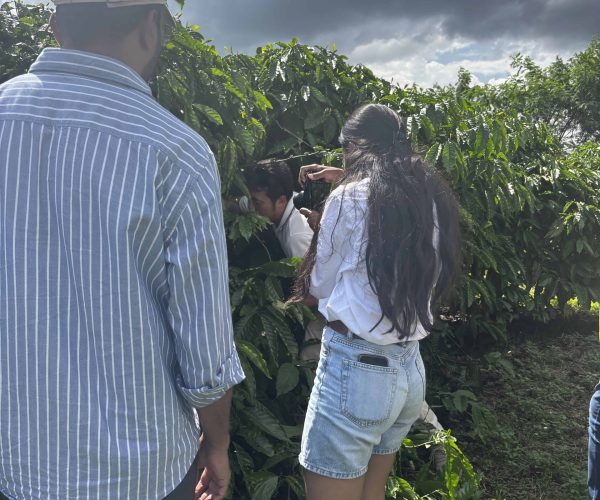 Authentic 2-Day Dak Lak Coffee Experience