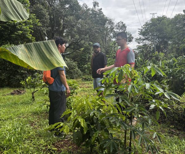 Authentic 2-Day Dak Lak Coffee Experience