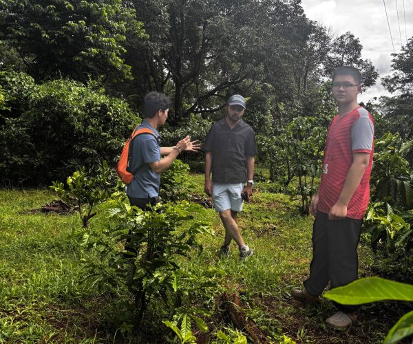 Authentic 2-Day Dak Lak Coffee Experience