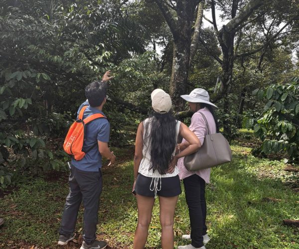 Authentic 2-Day Dak Lak Coffee Experience