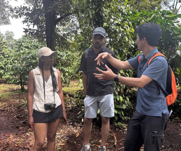 Authentic 2-Day Dak Lak Coffee Experience