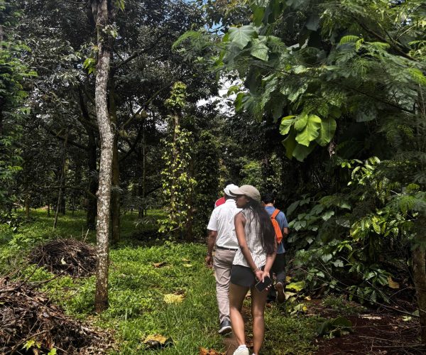 Authentic 2-Day Dak Lak Coffee Experience