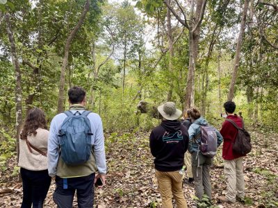 Yok Don National Park