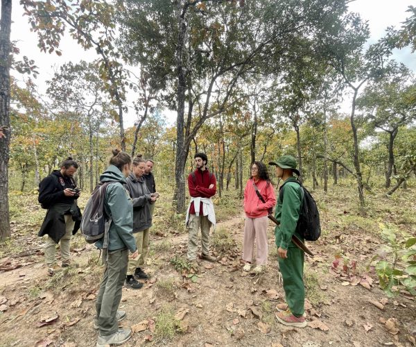 UNESCO Gong Heritage & Traditional Ede Cuisine Yok Don National Park