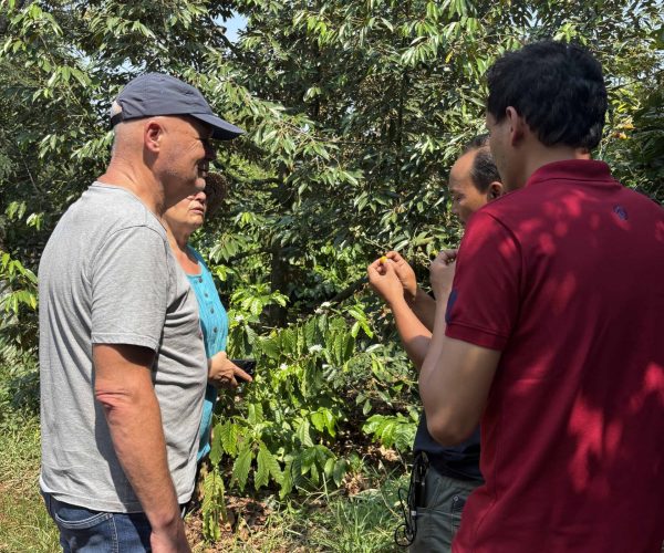 UNESCO Gong Heritage & Traditional Ede Cuisine Experience the rich coffee culture of Dak Lak with a Buon Ma Thuot coffee tour, exploring plantations and traditional brewing methods.