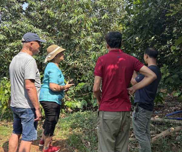 UNESCO Gong Heritage & Traditional Ede Cuisine Experience the rich coffee culture of Dak Lak with a Buon Ma Thuot coffee tour, exploring plantations and traditional brewing methods.