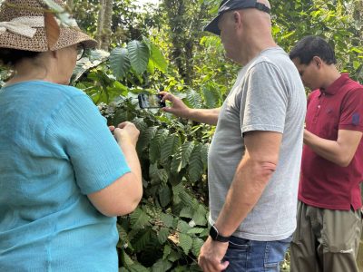 Experience the rich coffee culture of Dak Lak with a Buon Ma Thuot coffee tour, exploring plantations and traditional brewing methods.