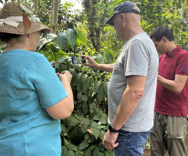 UNESCO Gong Heritage & Traditional Ede Cuisine Experience the rich coffee culture of Dak Lak with a Buon Ma Thuot coffee tour, exploring plantations and traditional brewing methods.