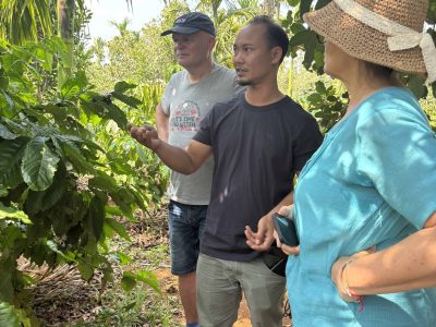 Experience the rich coffee culture of Dak Lak with a Buon Ma Thuot coffee tour, exploring plantations and traditional brewing methods.