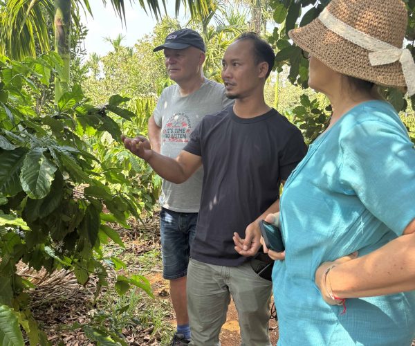 UNESCO Gong Heritage & Traditional Ede Cuisine Experience the rich coffee culture of Dak Lak with a Buon Ma Thuot coffee tour, exploring plantations and traditional brewing methods.