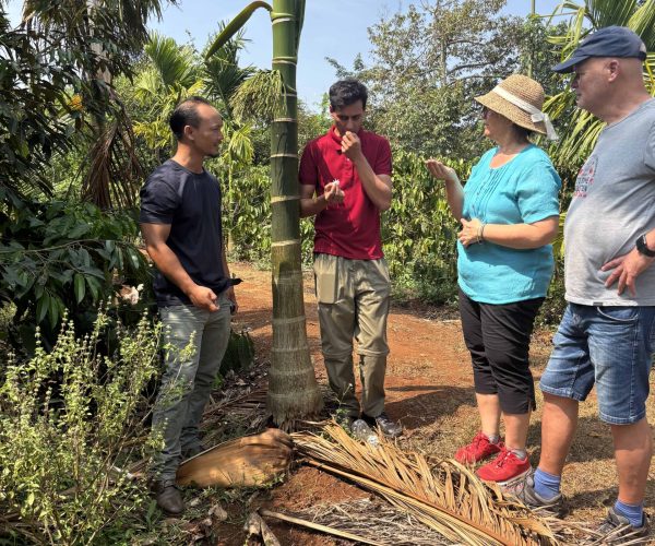 UNESCO Gong Heritage & Traditional Ede Cuisine Experience the rich coffee culture of Dak Lak with a Buon Ma Thuot coffee tour, exploring plantations and traditional brewing methods.