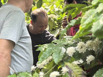 Experience the rich coffee culture of Dak Lak with a Buon Ma Thuot coffee tour, exploring plantations and traditional brewing methods.