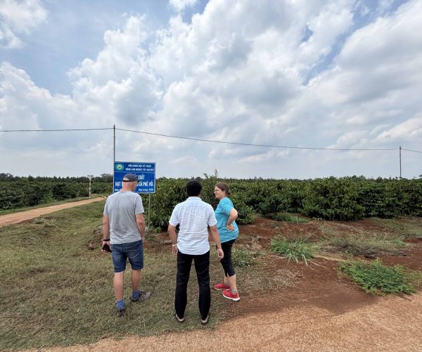 UNESCO Gong Heritage & Traditional Ede Cuisine Experience the rich coffee culture of Dak Lak with a Buon Ma Thuot coffee tour, exploring plantations and traditional brewing methods.
