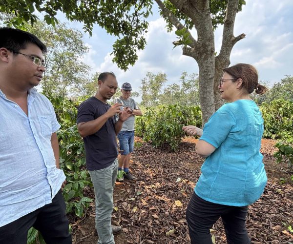 UNESCO Gong Heritage & Traditional Ede Cuisine Experience the rich coffee culture of Dak Lak with a Buon Ma Thuot coffee tour, exploring plantations and traditional brewing methods.