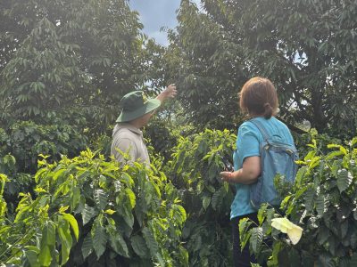 Experience the rich coffee culture of Dak Lak with a Buon Ma Thuot coffee tour, exploring plantations and traditional brewing methods.