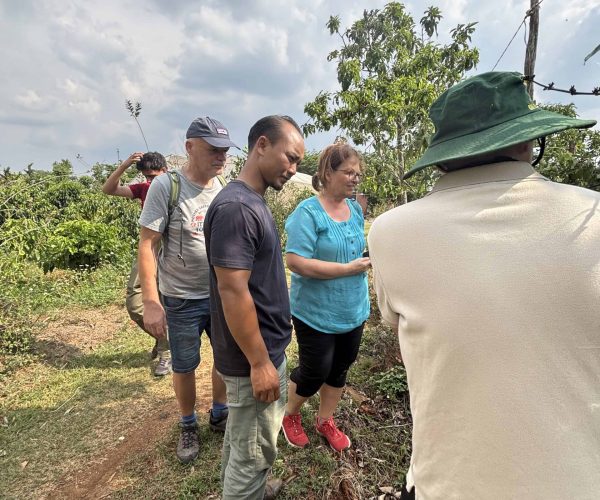 UNESCO Gong Heritage & Traditional Ede Cuisine Experience the rich coffee culture of Dak Lak with a Buon Ma Thuot coffee tour, exploring plantations and traditional brewing methods.