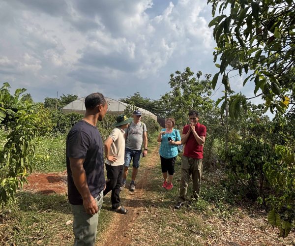 UNESCO Gong Heritage & Traditional Ede Cuisine Experience the rich coffee culture of Dak Lak with a Buon Ma Thuot coffee tour, exploring plantations and traditional brewing methods.