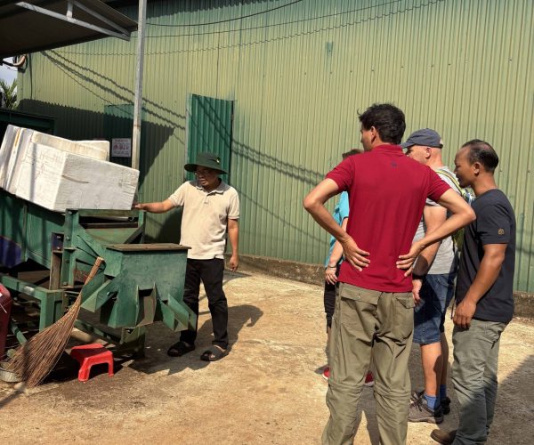 UNESCO Gong Heritage & Traditional Ede Cuisine Experience the rich coffee culture of Dak Lak with a Buon Ma Thuot coffee tour, exploring plantations and traditional brewing methods.