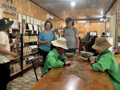 Experience the rich coffee culture of Dak Lak with a Buon Ma Thuot coffee tour, exploring plantations and traditional brewing methods.