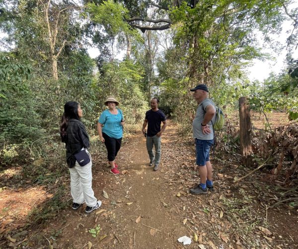 UNESCO Gong Heritage & Traditional Ede Cuisine Experience the rich coffee culture of Dak Lak with a Buon Ma Thuot coffee tour, exploring plantations and traditional brewing methods.