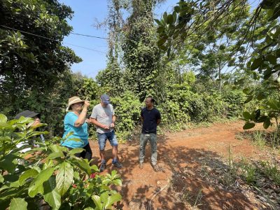 Experience the rich coffee culture of Dak Lak with a Buon Ma Thuot coffee tour, exploring plantations and traditional brewing methods.
