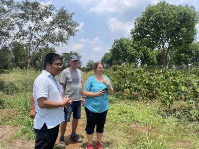 Experience the rich coffee culture of Dak Lak with a Buon Ma Thuot coffee tour, exploring plantations and traditional brewing methods.