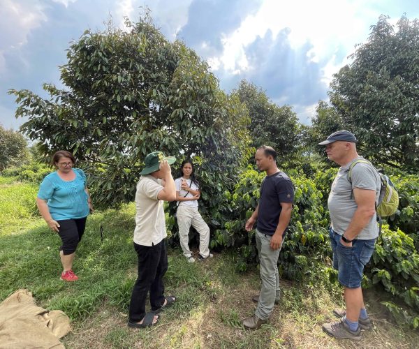 UNESCO Gong Heritage & Traditional Ede Cuisine Experience the rich coffee culture of Dak Lak with a Buon Ma Thuot coffee tour, exploring plantations and traditional brewing methods.