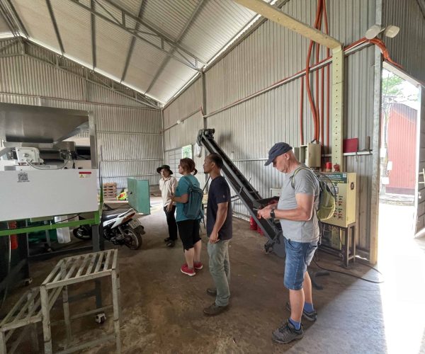 UNESCO Gong Heritage & Traditional Ede Cuisine Experience the rich coffee culture of Dak Lak with a Buon Ma Thuot coffee tour, exploring plantations and traditional brewing methods.