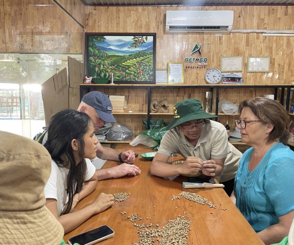 UNESCO Gong Heritage & Traditional Ede Cuisine Experience the rich coffee culture of Dak Lak with a Buon Ma Thuot coffee tour, exploring plantations and traditional brewing methods.