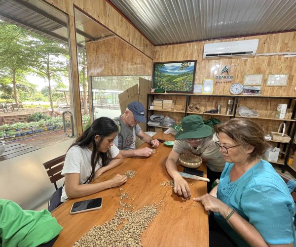 UNESCO Gong Heritage & Traditional Ede Cuisine Experience the rich coffee culture of Dak Lak with a Buon Ma Thuot coffee tour, exploring plantations and traditional brewing methods.