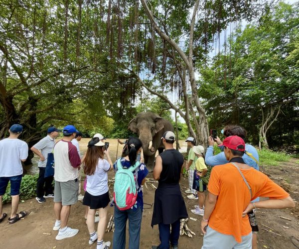 UNESCO Gong Heritage & Traditional Ede Cuisine Yok Don National Park in Vietnam