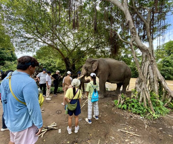 UNESCO Gong Heritage & Traditional Ede Cuisine Yok Don National Park in Vietnam