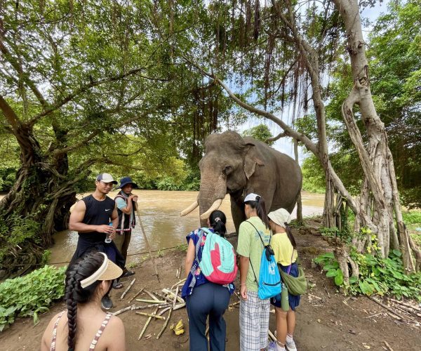 UNESCO Gong Heritage & Traditional Ede Cuisine Yok Don National Park in Vietnam