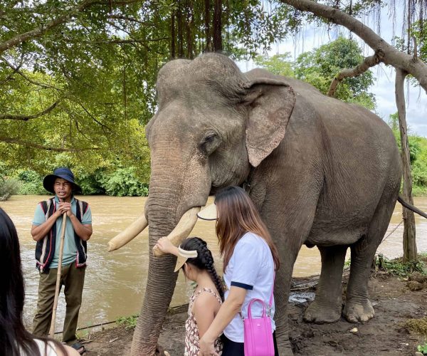UNESCO Gong Heritage & Traditional Ede Cuisine Yok Don National Park in Vietnam