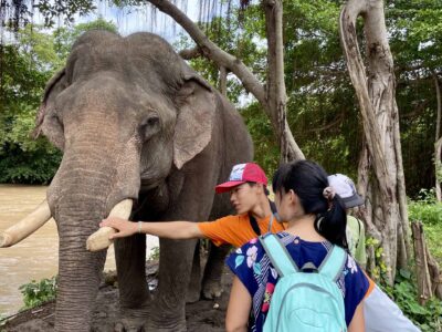 Yok Don National Park in Vietnam