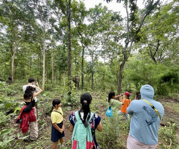 UNESCO Gong Heritage & Traditional Ede Cuisine Yok Don National Park in Vietnam