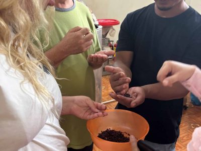 Dak Lak Cacao Tour: tasting fresh cacao and exploring cacao plantations in Đắk Lắk