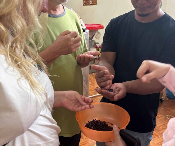 UNESCO Gong Heritage & Traditional Ede Cuisine Dak Lak Cacao Tour: tasting fresh cacao and exploring cacao plantations in Đắk Lắk